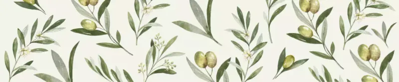 Phong cách cổ điển mô hình minh họa ô liu xanh