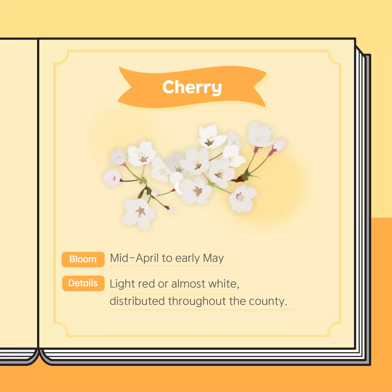 Pink Simple Spring Guide Instagram Carousel