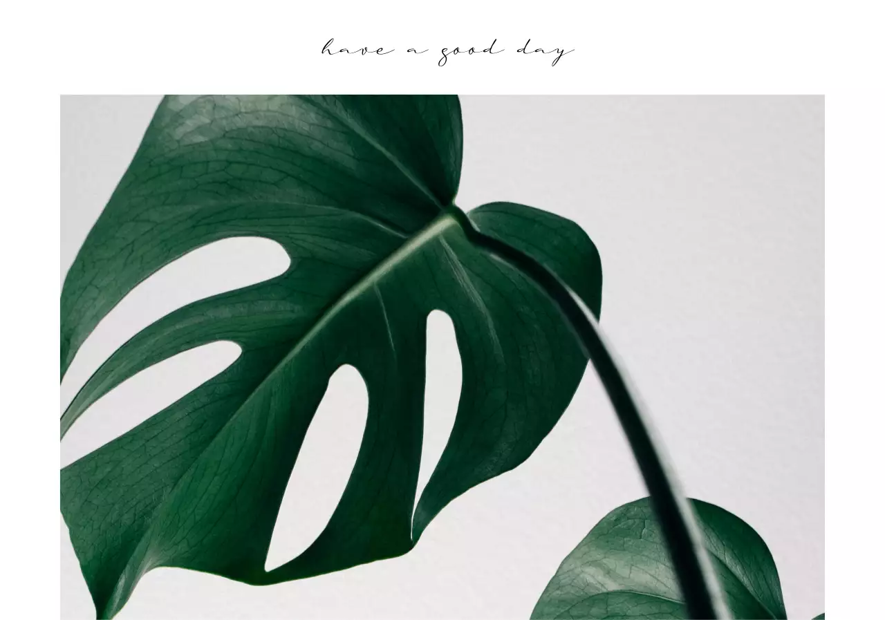 Sentimental botanical photography and calligraphy