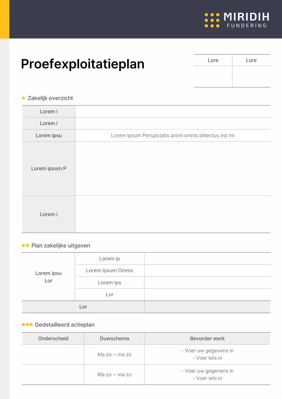 Formulier Operationeel Plan Business Pilot Project in geel-blauwe puntkleuren