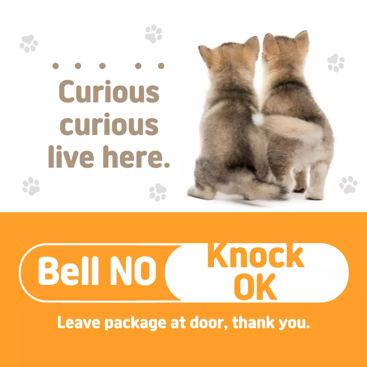 Orange cute puppy dog for home