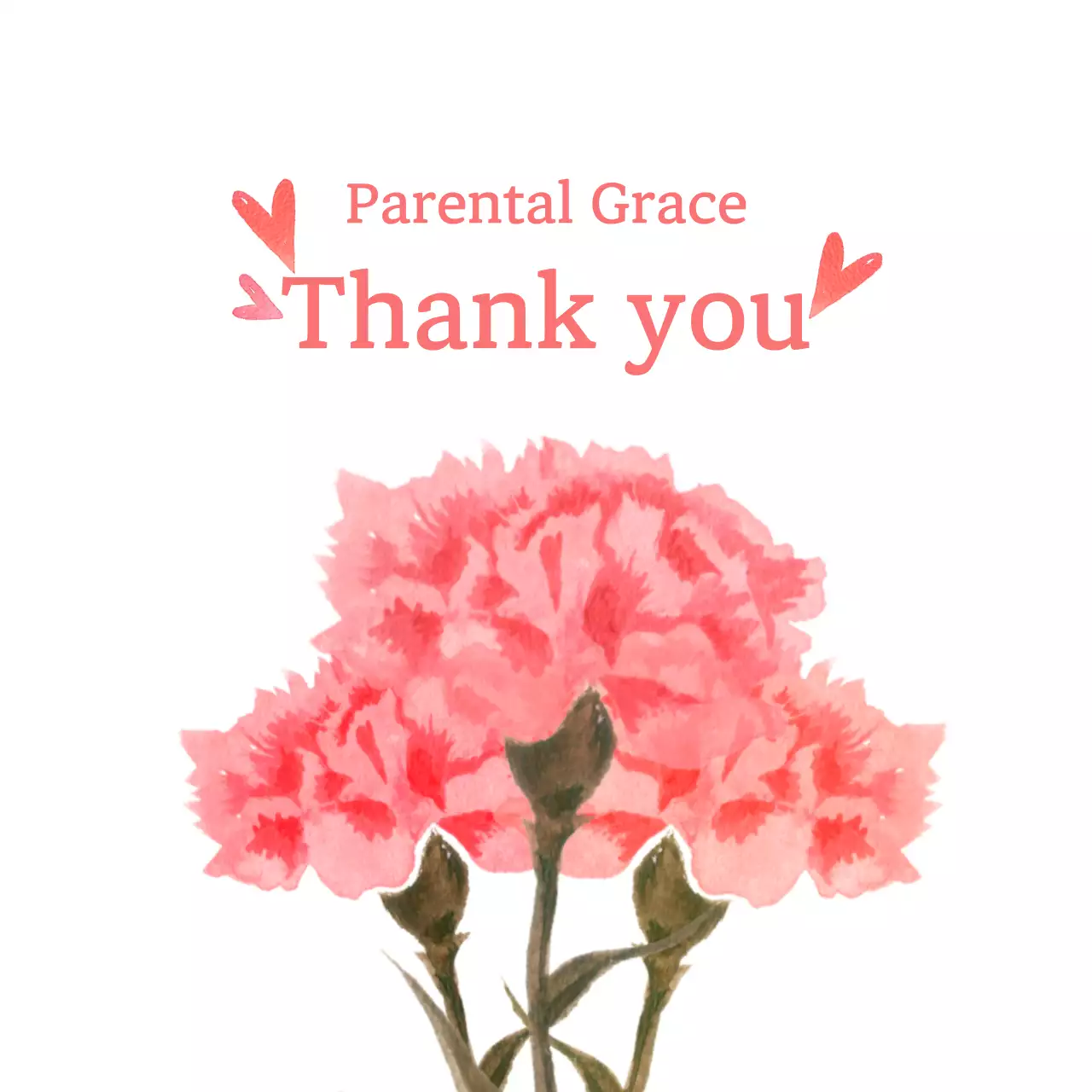 Hoa cẩm chướng hồng và lời chúc tri ân Ngày của Mẹ