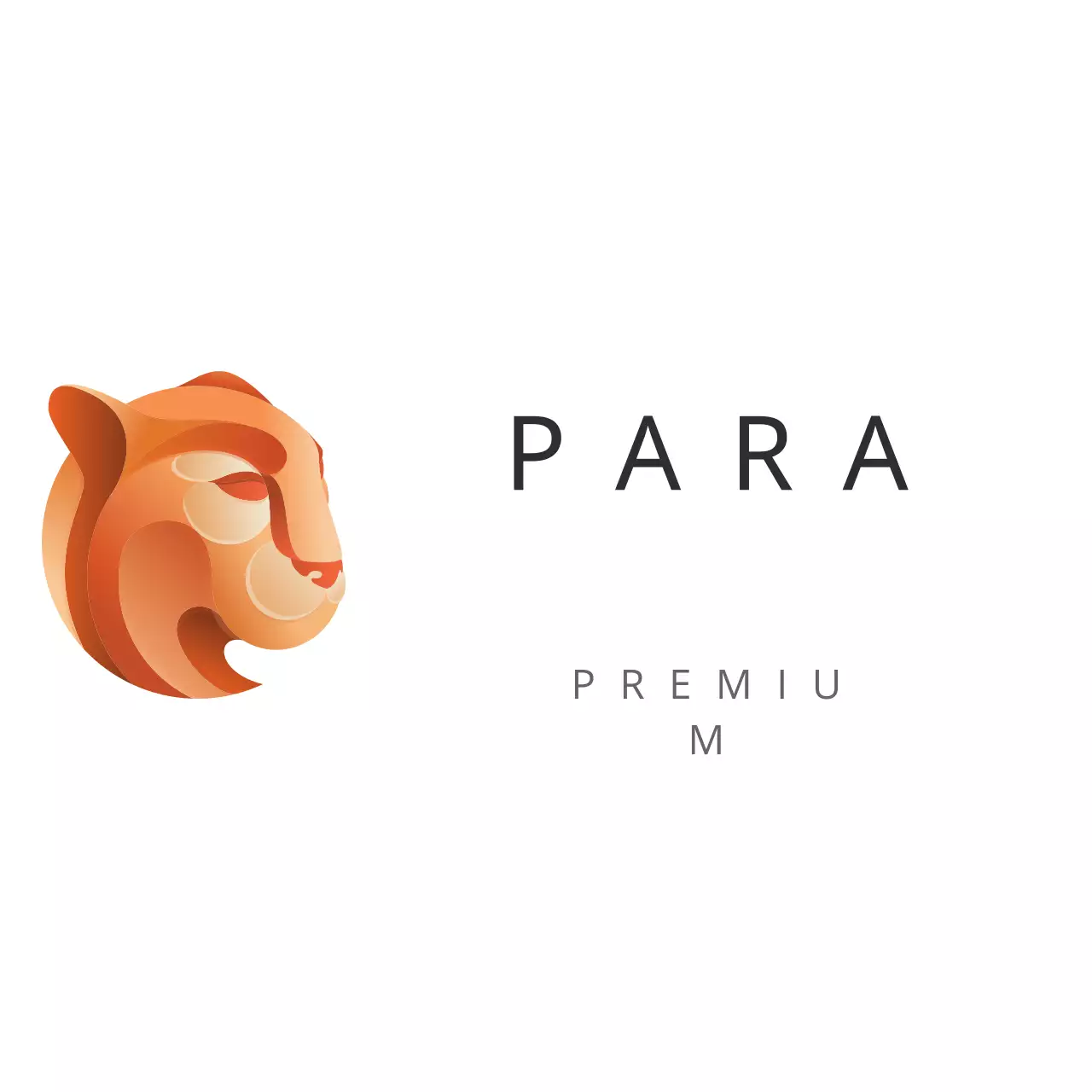 Orange Minimal Design Logo