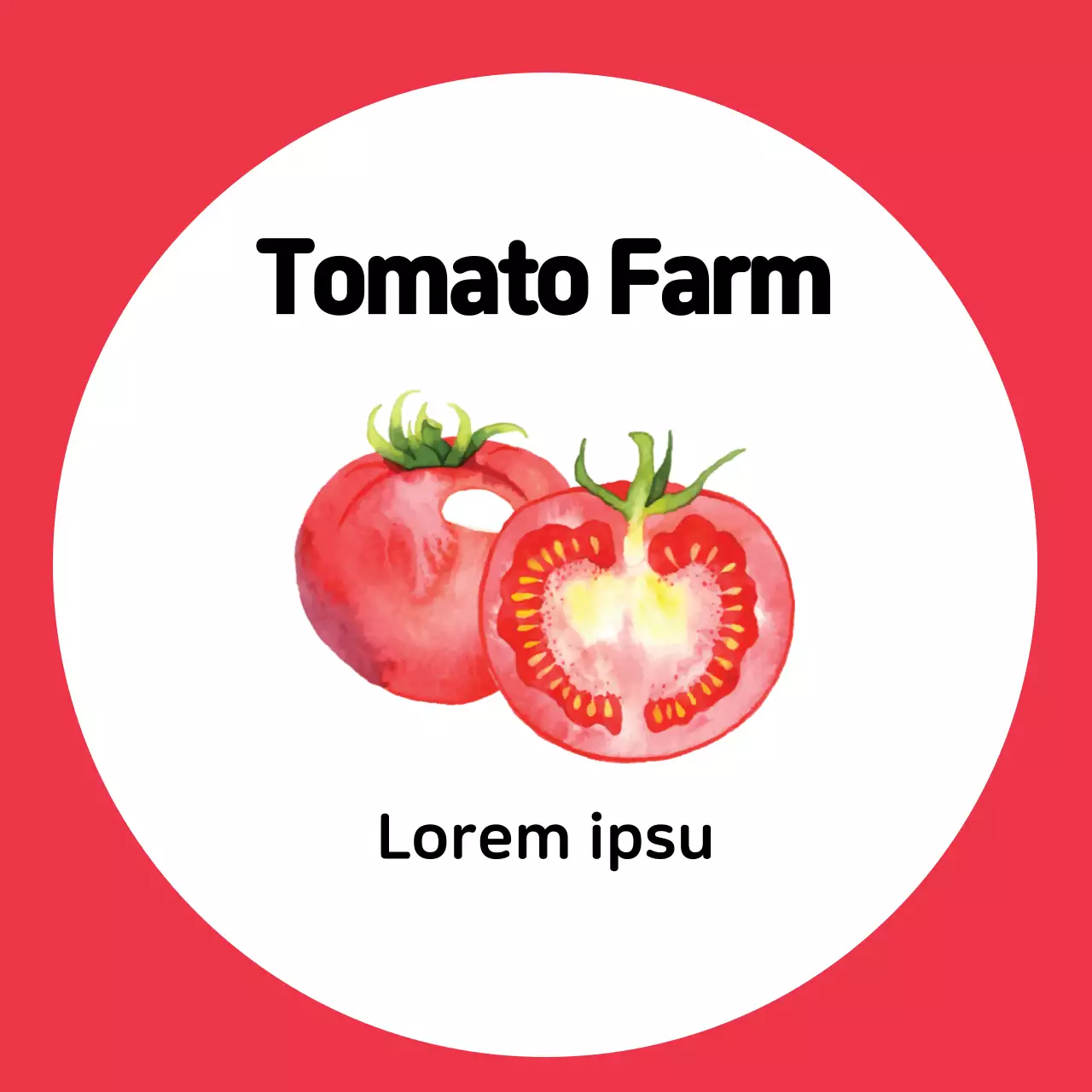 Ilustrasi merah pertanian tomat yang rapi