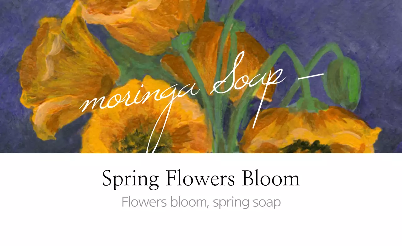 Orange Floral Soap Promotion Banner