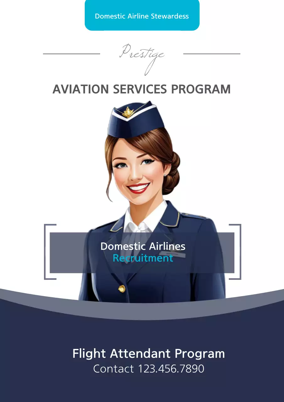 Navy Professional Aviation Recruitment Poster