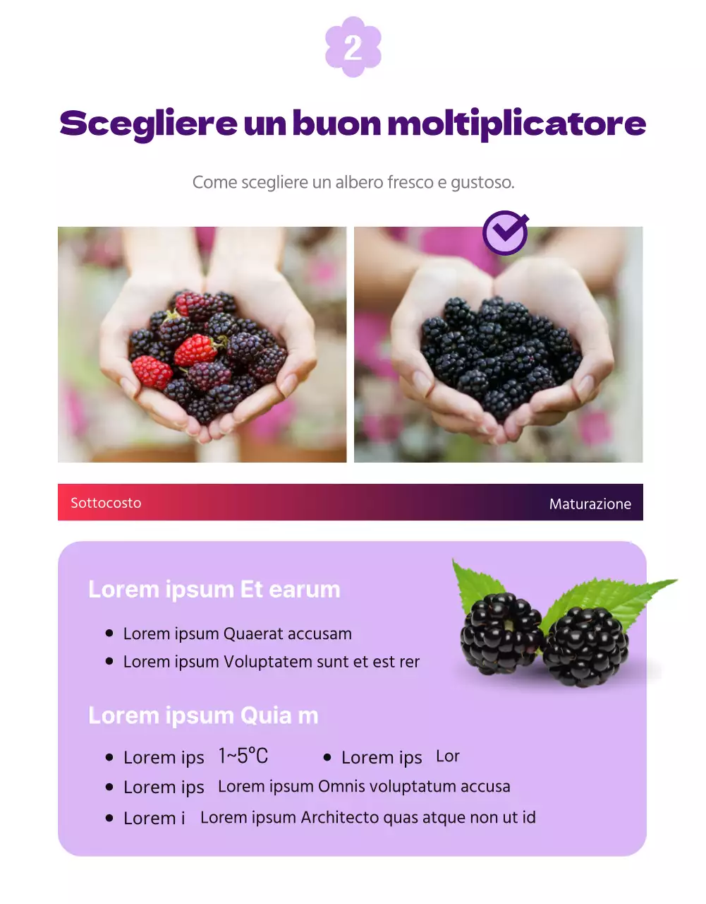 Un semplice e grazioso completo bianco e malva