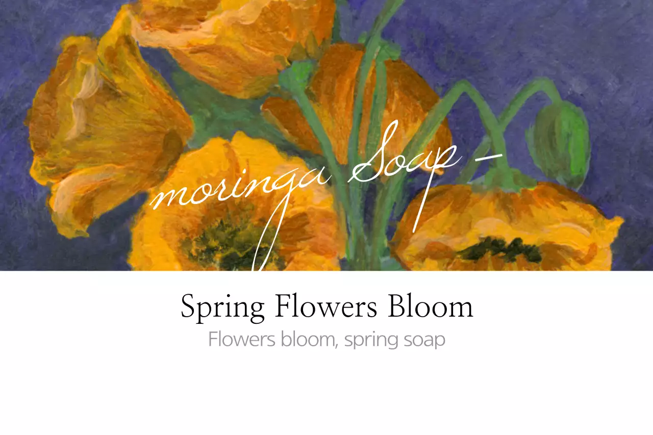 Orange Vintage Soap Promotion Banner