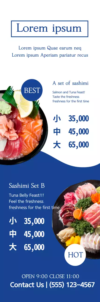 Banner Promocional Sashimi Minimal Azul