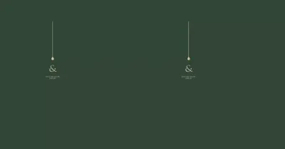 Green Jewelry Shopping Bag