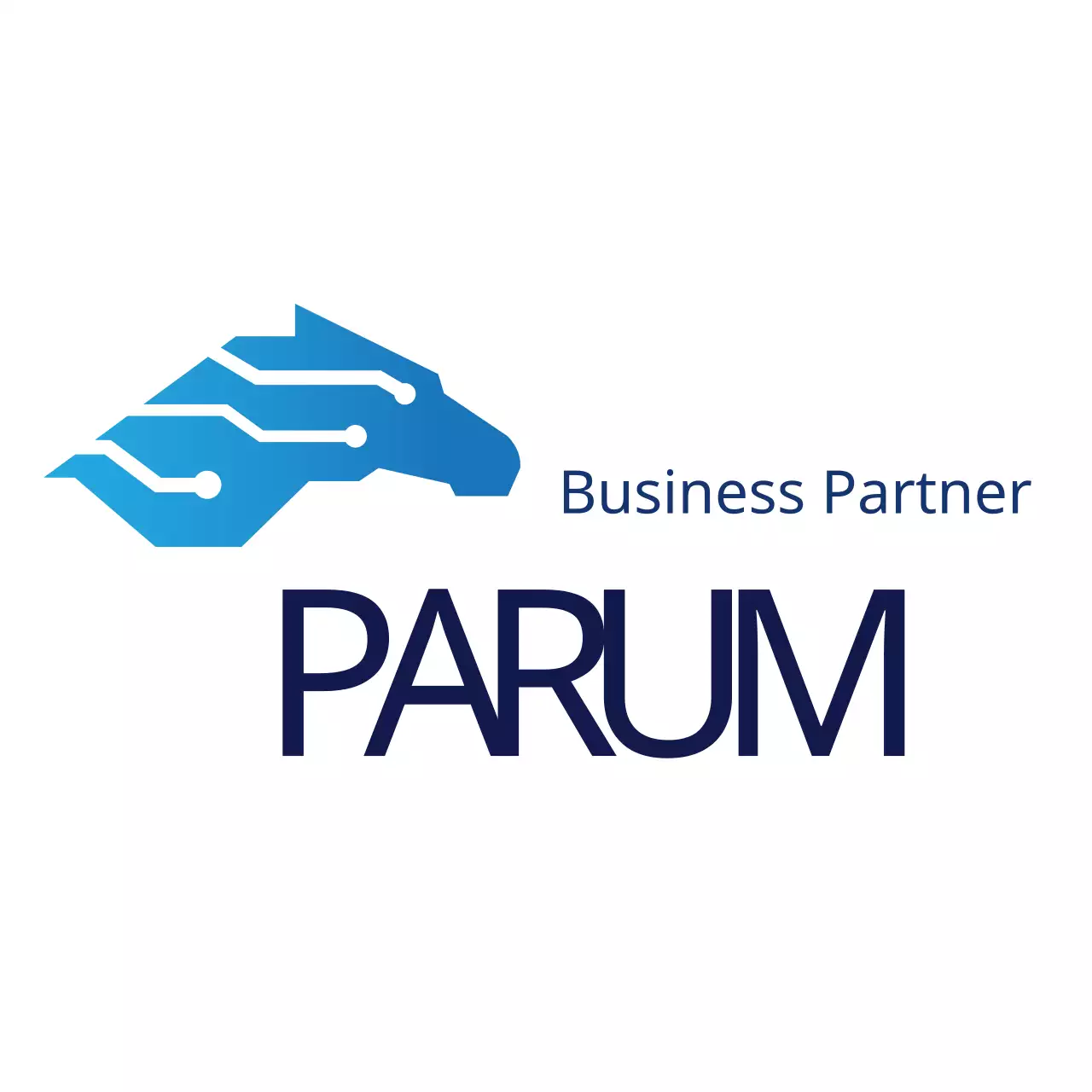 Blue Modern Business Card Logo