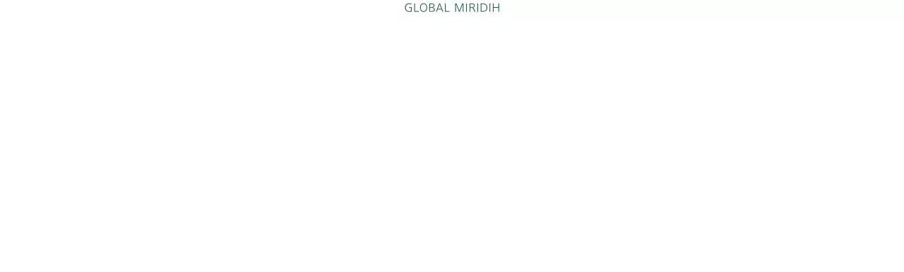 Simple Global Miridi in dark green color for company promotion