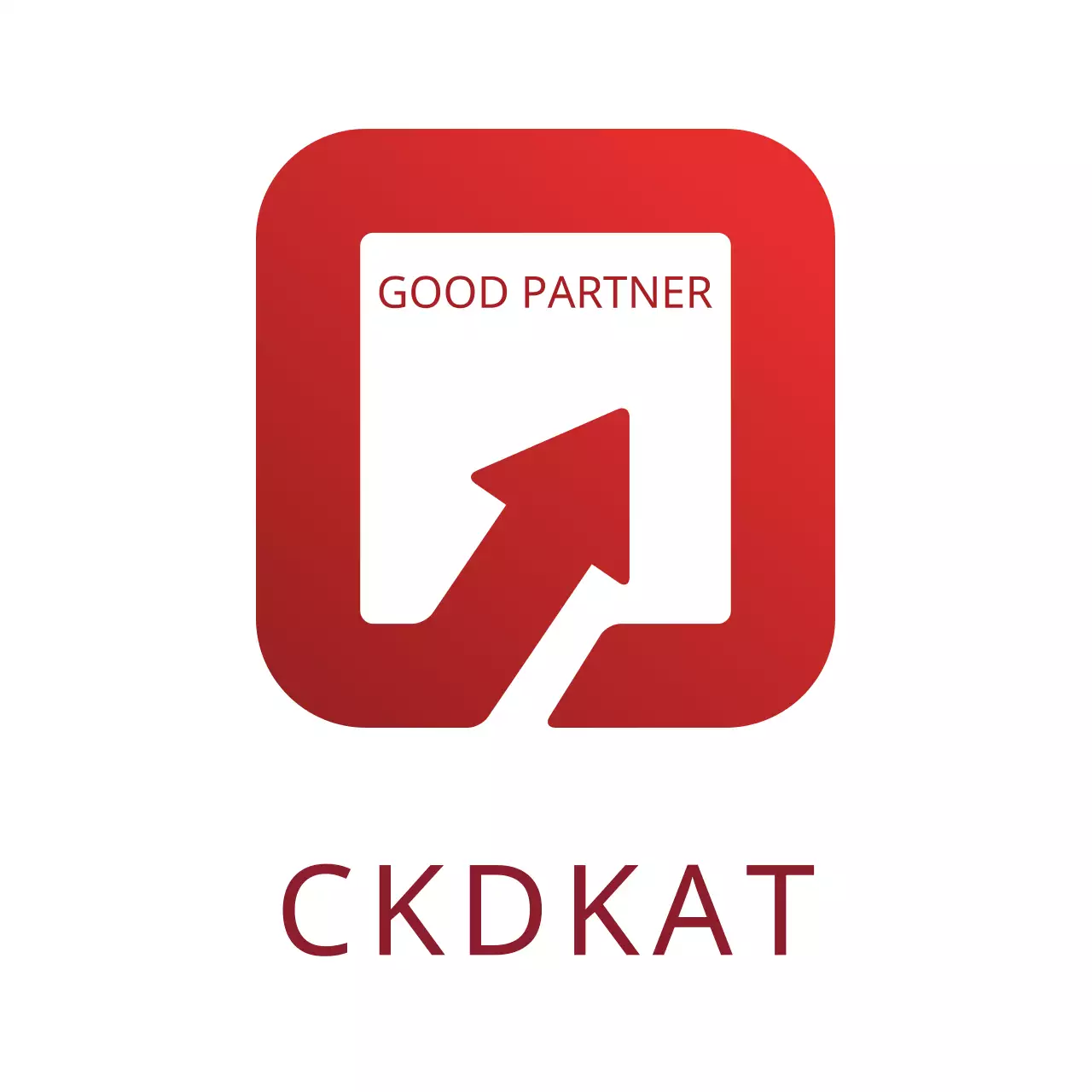 Red Modern Business Logo