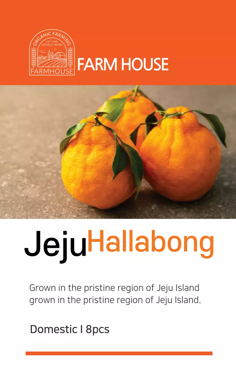 Jeju Hallabong 