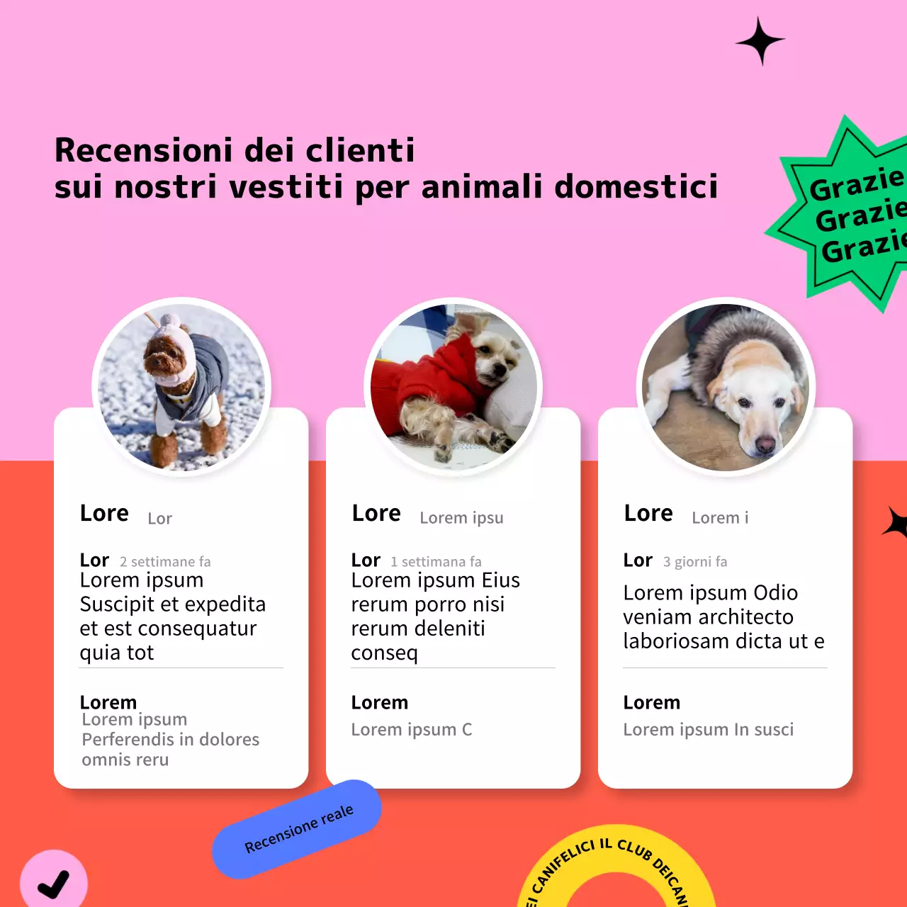 Modello per i social media di abbigliamento per cani blu e giallo rosa