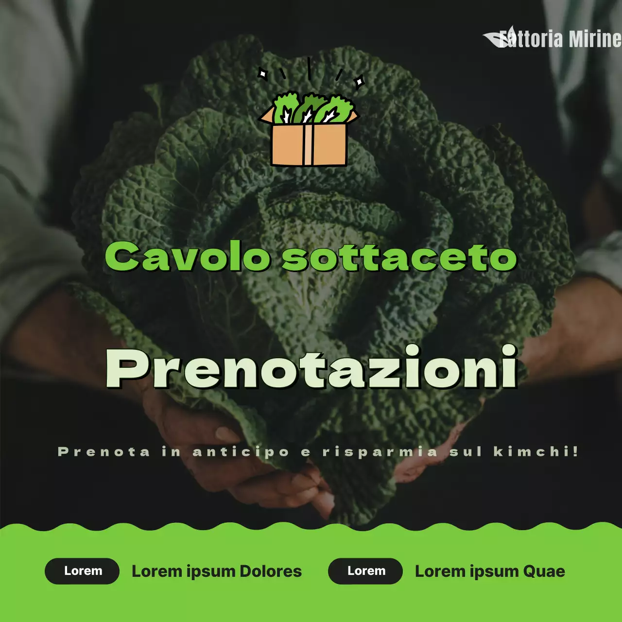 Come conservare il cavolo verde e carino in salamoia