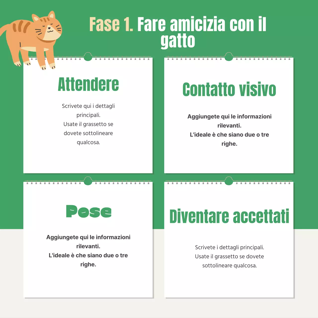 Sull'esame di certificazione della lettiera per gatti verde e arancione