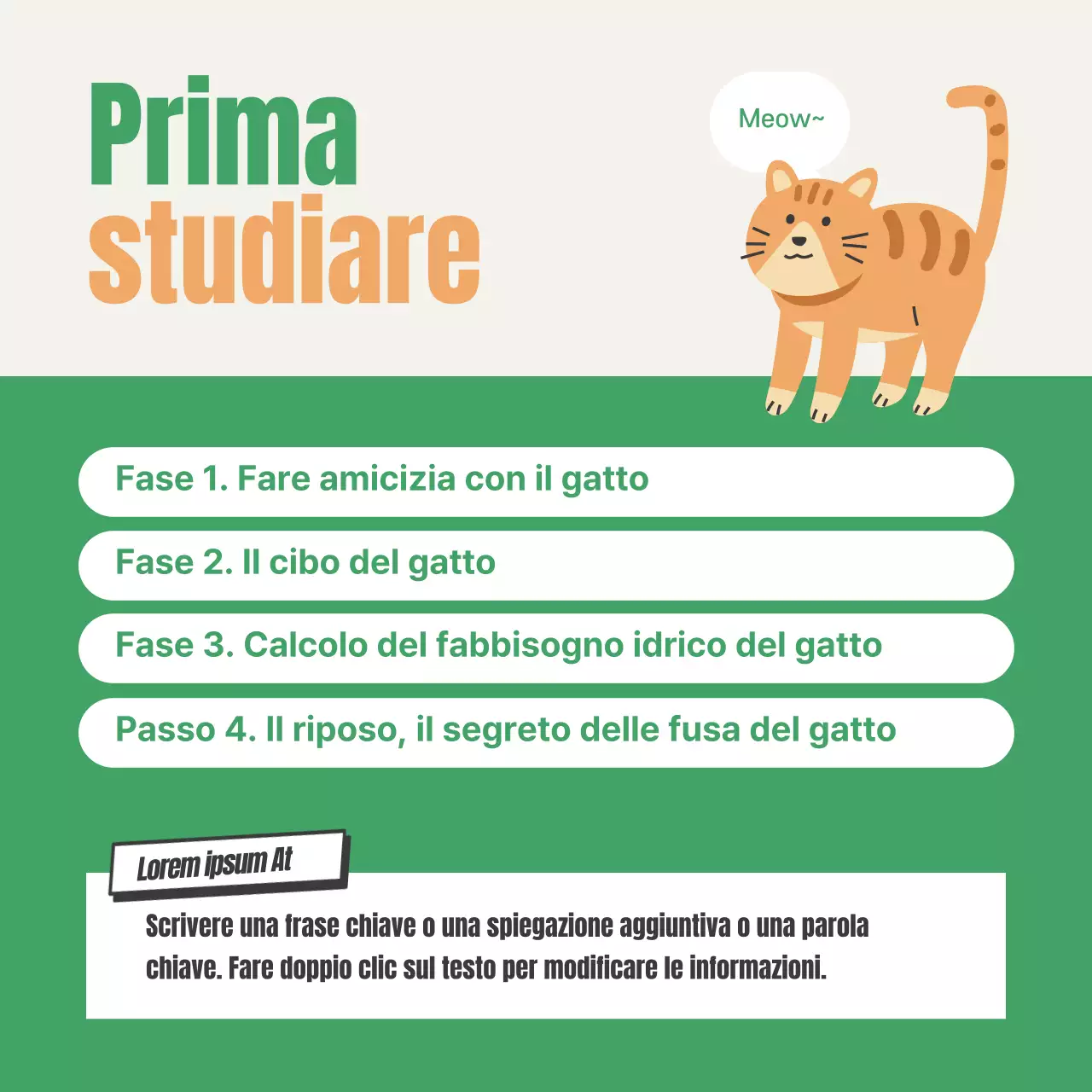 Sull'esame di certificazione della lettiera per gatti verde e arancione