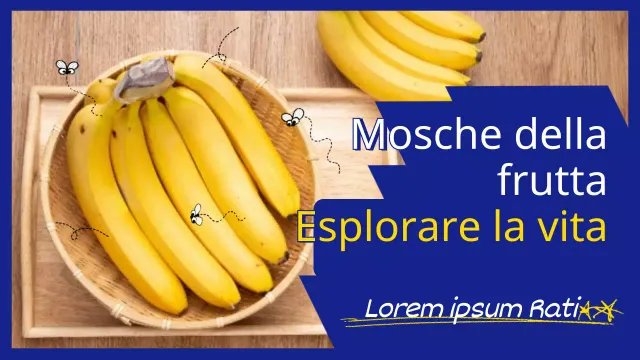 Banana in blu e giallo Foto Moscerino della frutta che esplora la vita