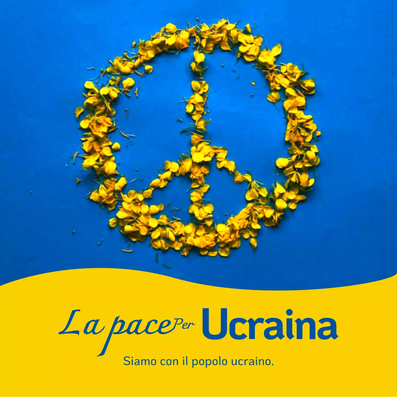 Fiori gialli e bluImmagine di guerraMessaggio contro la guerra
