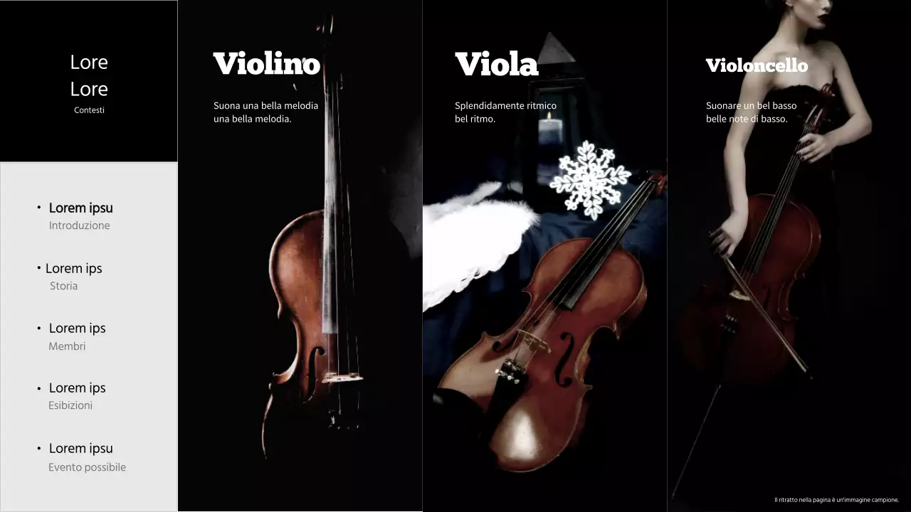 Portafoglio del gruppo Black and grey performing