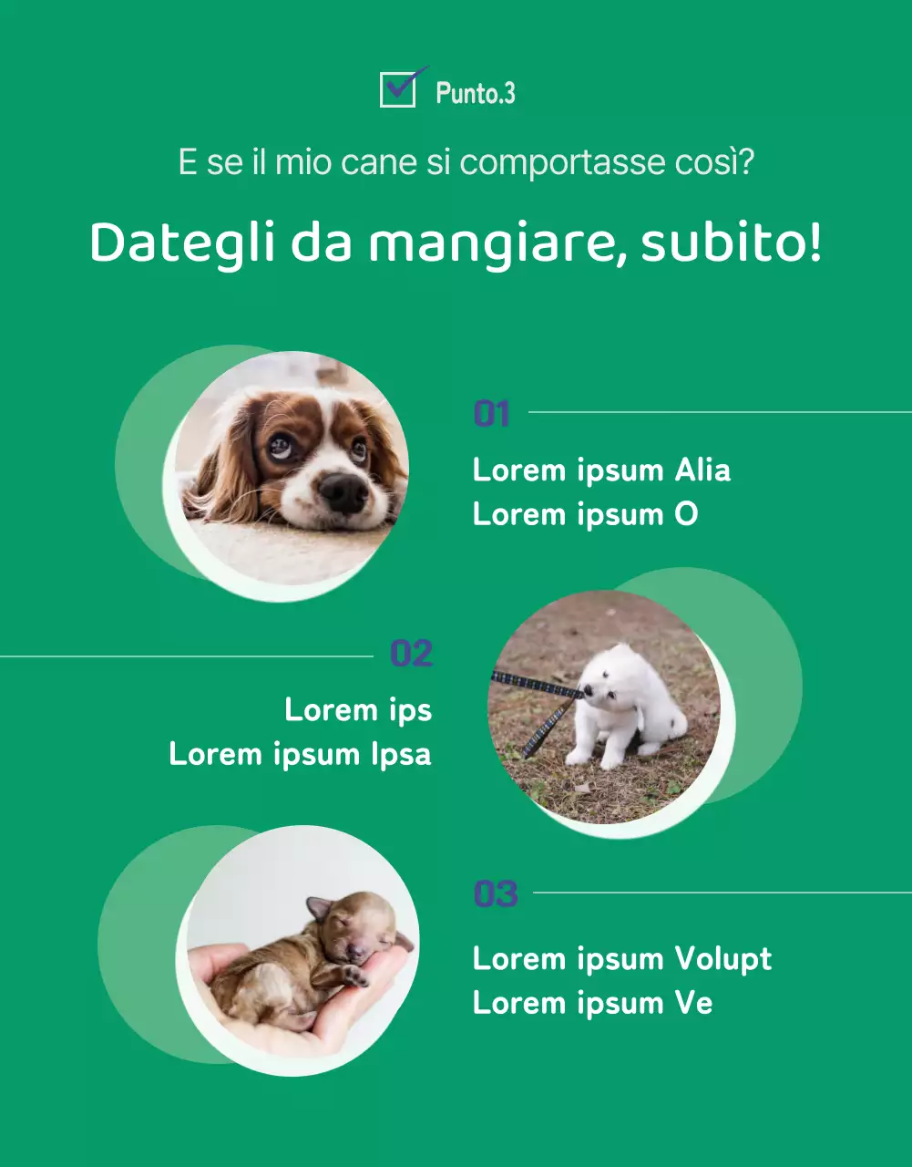 Pagina di dettaglio dei bocconcini per cani blu e verdi