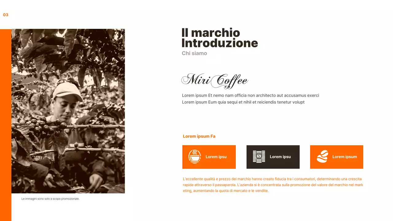 Analisi del caso di marketing di Orange and calm assignment