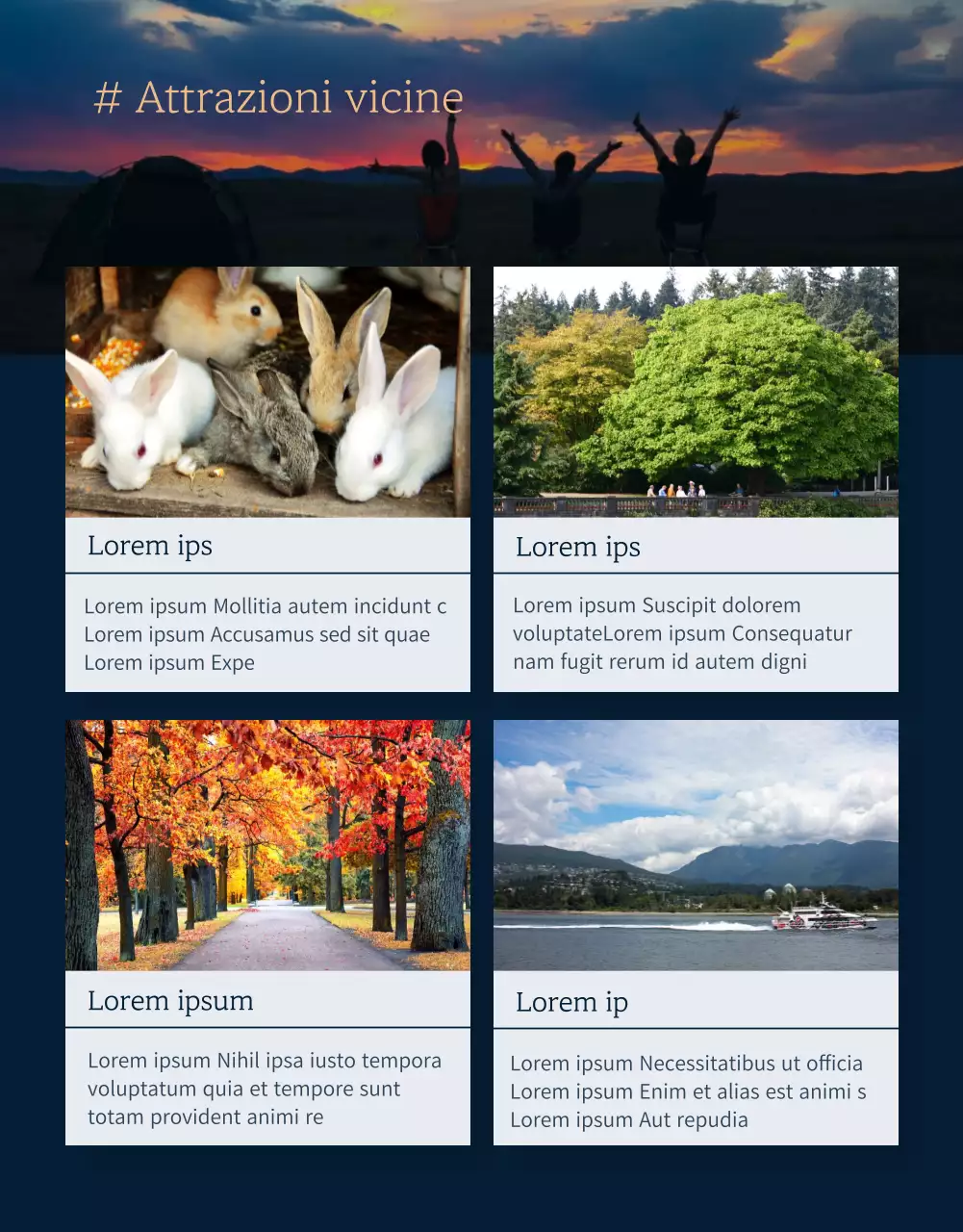 Pagina di dettaglio del campeggio navy e dark