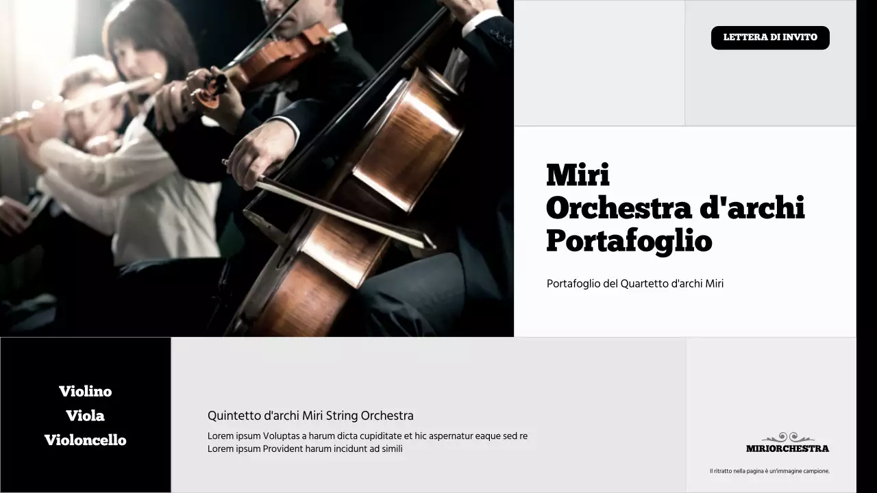 Portafoglio del gruppo Black and grey performing