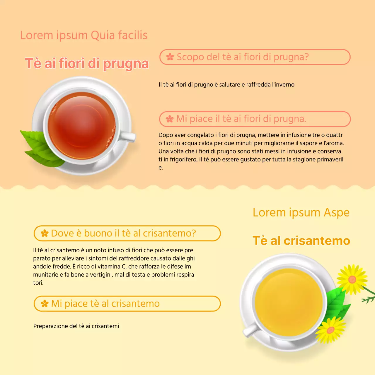 Le illustrazioni fresche e gialle forniscono informazioni sui tè di fiori primaverili