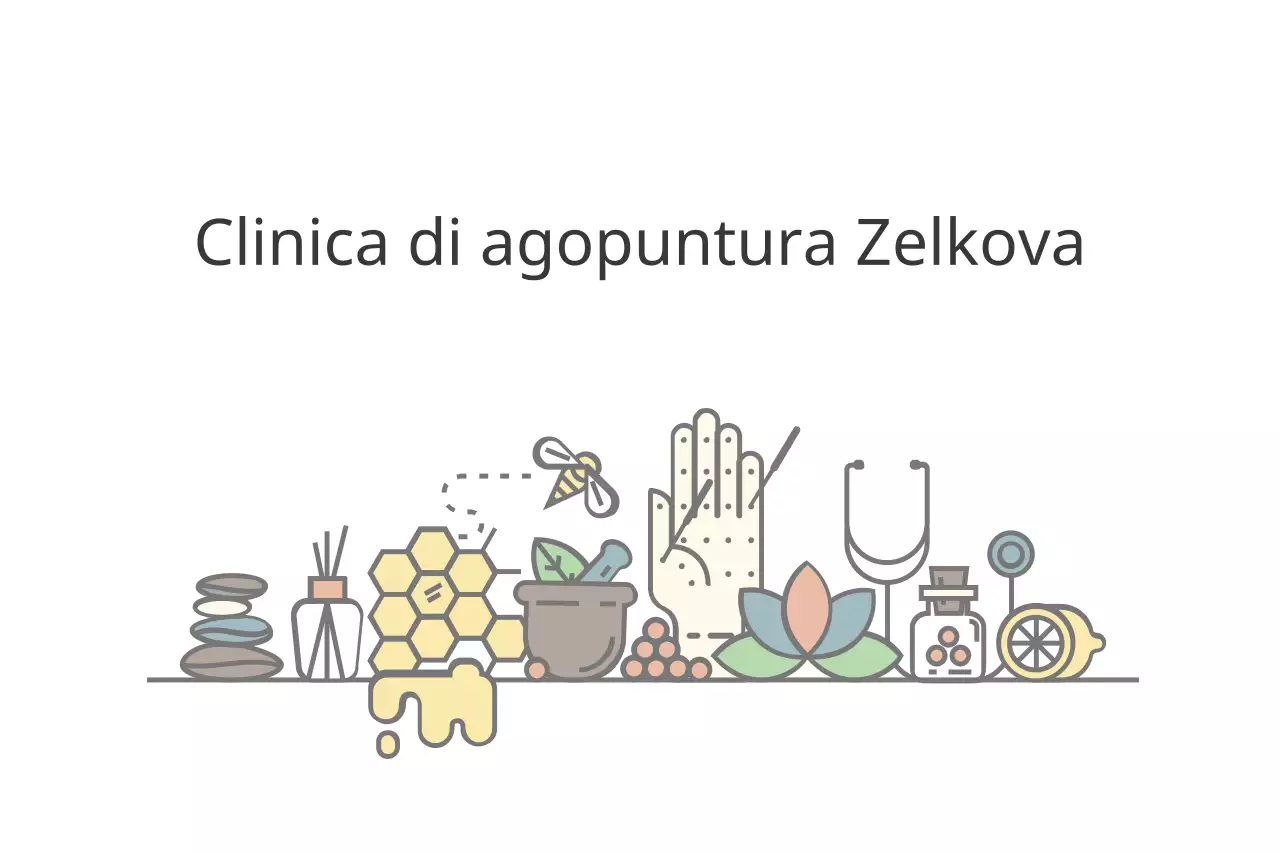 Clinica di agopuntura Zelkova