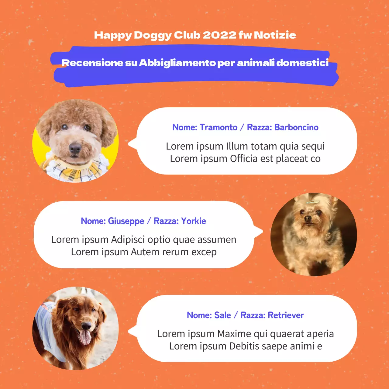 Promuovere l'abbigliamento per cani con colori arancioni e blu