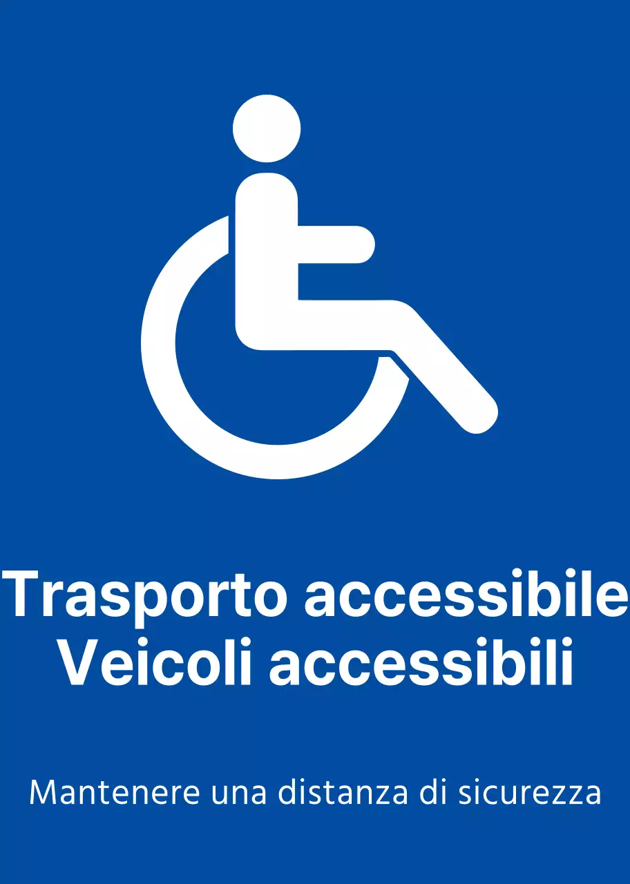 Magneti per auto per disabili
