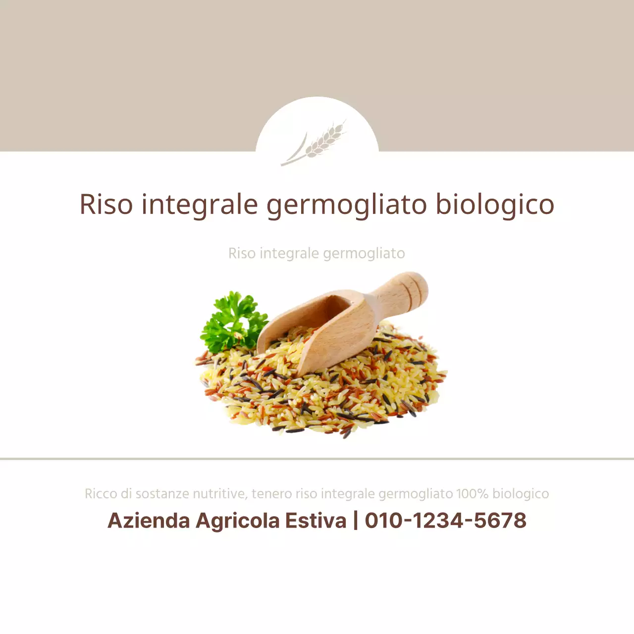 Riso integrale germogliato