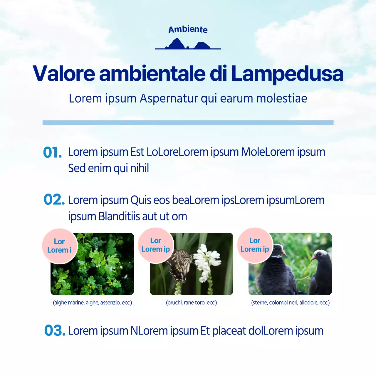 La squadra di divulgazione dell'Università di Dokdo, di colore azzurro e blu navy