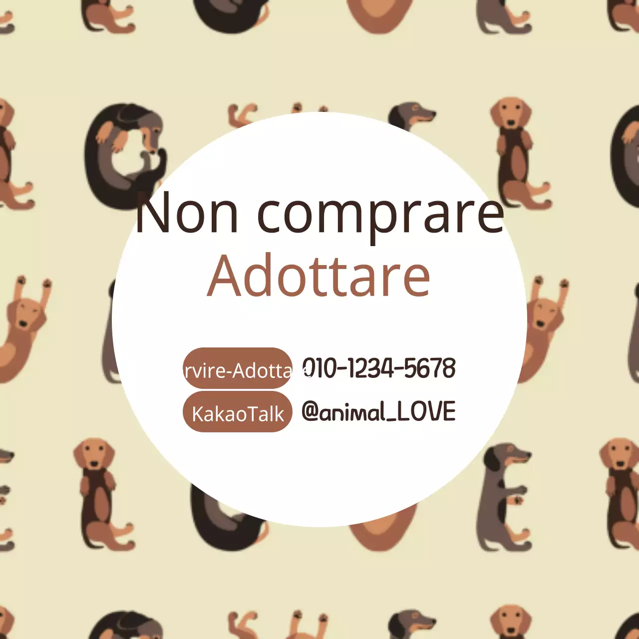 Adottare un cane randagio