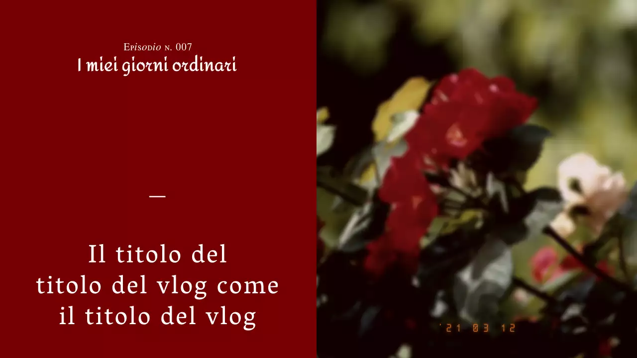 Fotografia emozionale del vino rosso Concept Diary Vlog