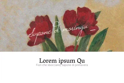 Quando i fiori sbocciano e la primavera