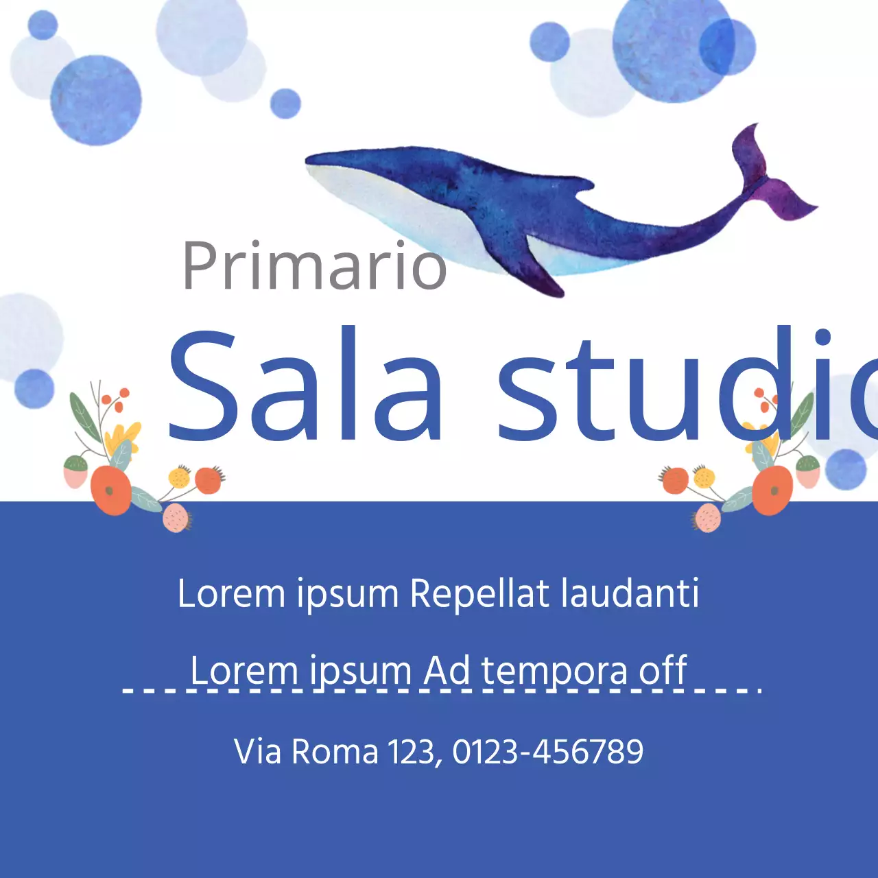 Sala studio