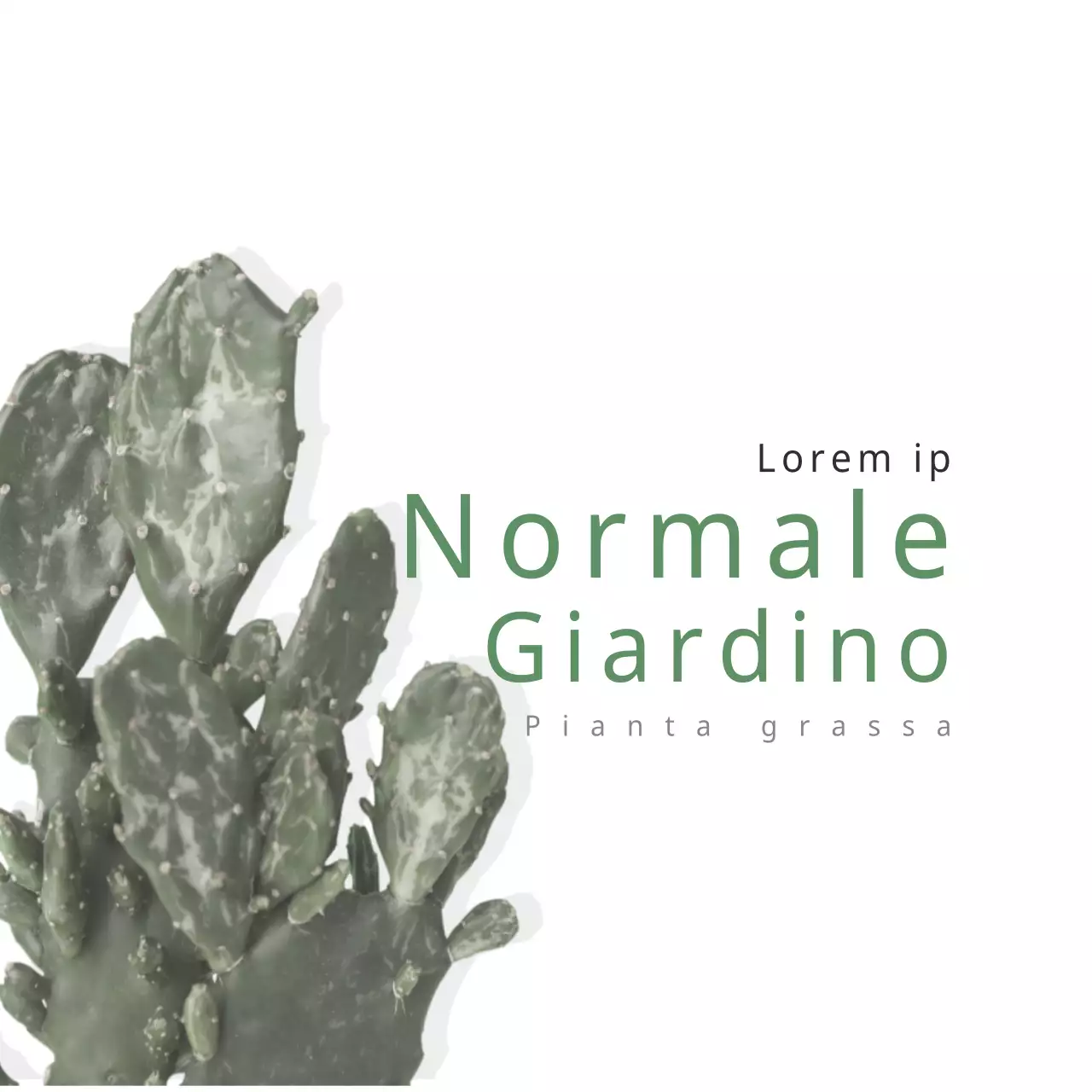 Giardino normale