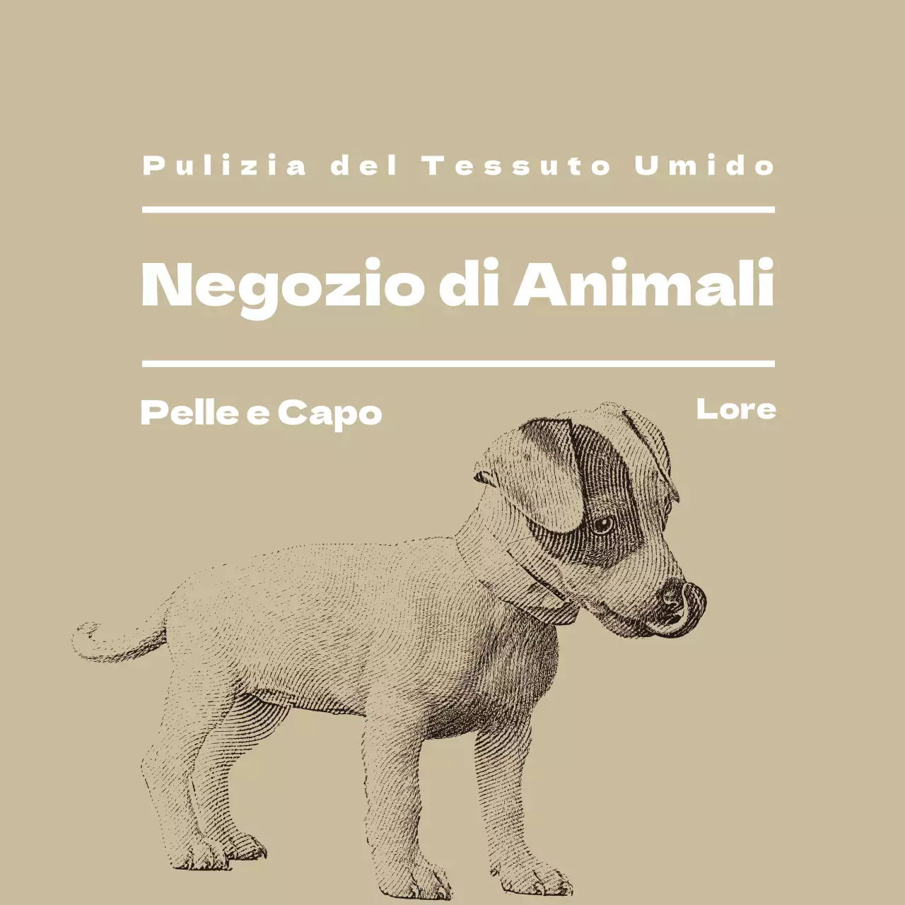 Etichetta illustrata beige del negozio di animali
