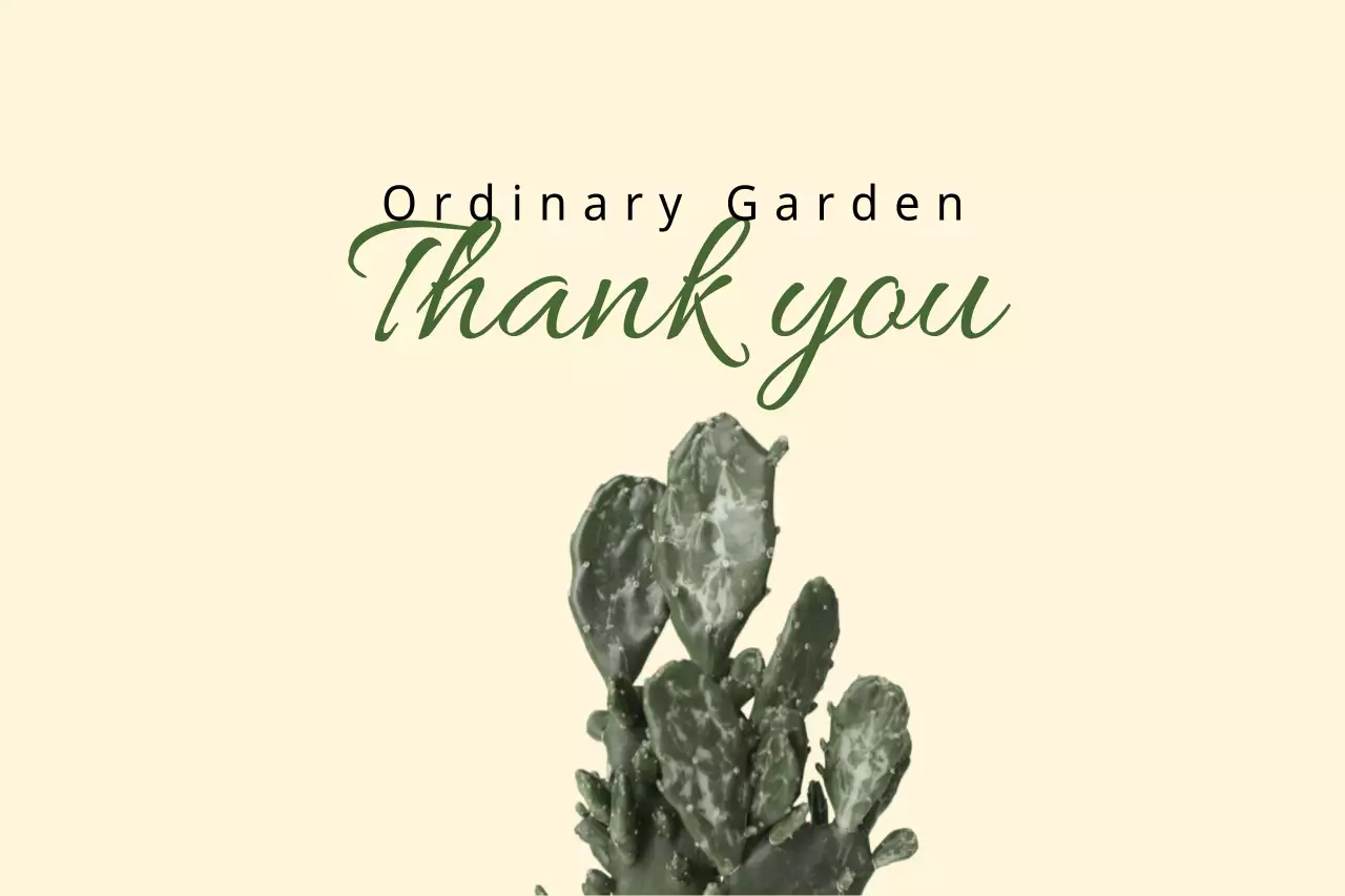 Beige Elegant Thank You Card Banner