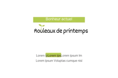 Rouleaux de printemps