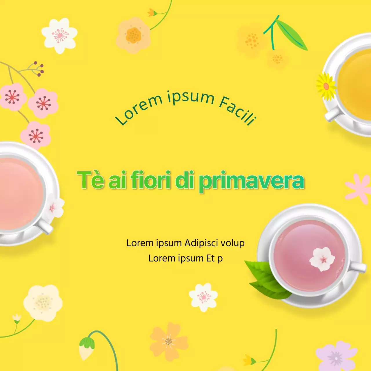 Le illustrazioni fresche e gialle forniscono informazioni sui tè di fiori primaverili