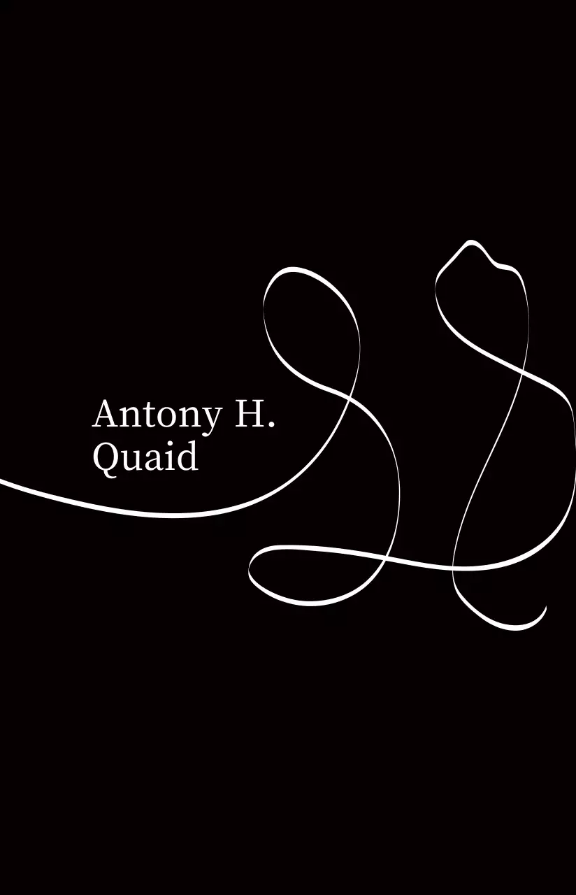 A simple, modern font combination in black and white colors for personalized merchandise.