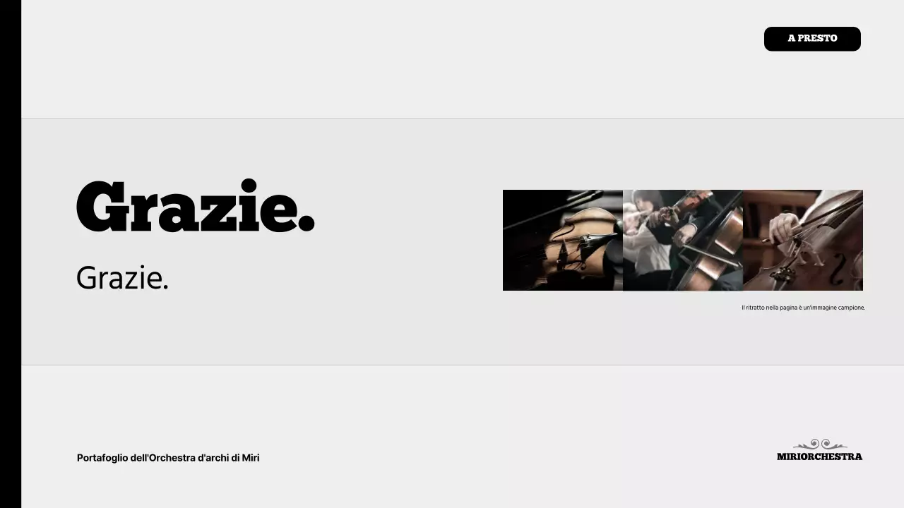 Portafoglio del gruppo Black and grey performing