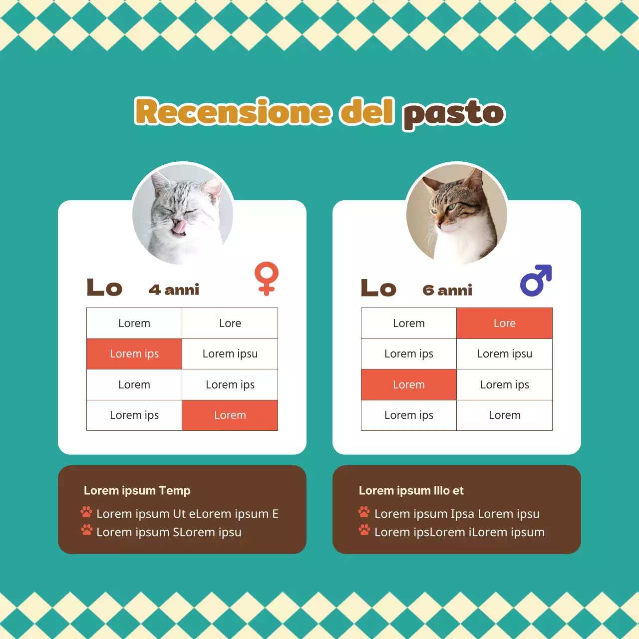 Informazioni su questo caldo e tenero cibo per cani e gatti in turchese e marrone