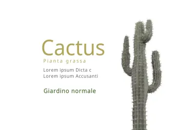 Cactus