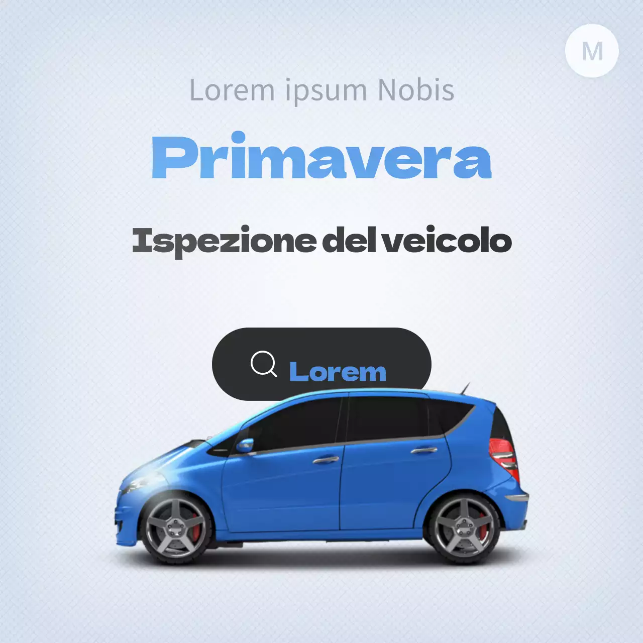 Ispezione del veicolo