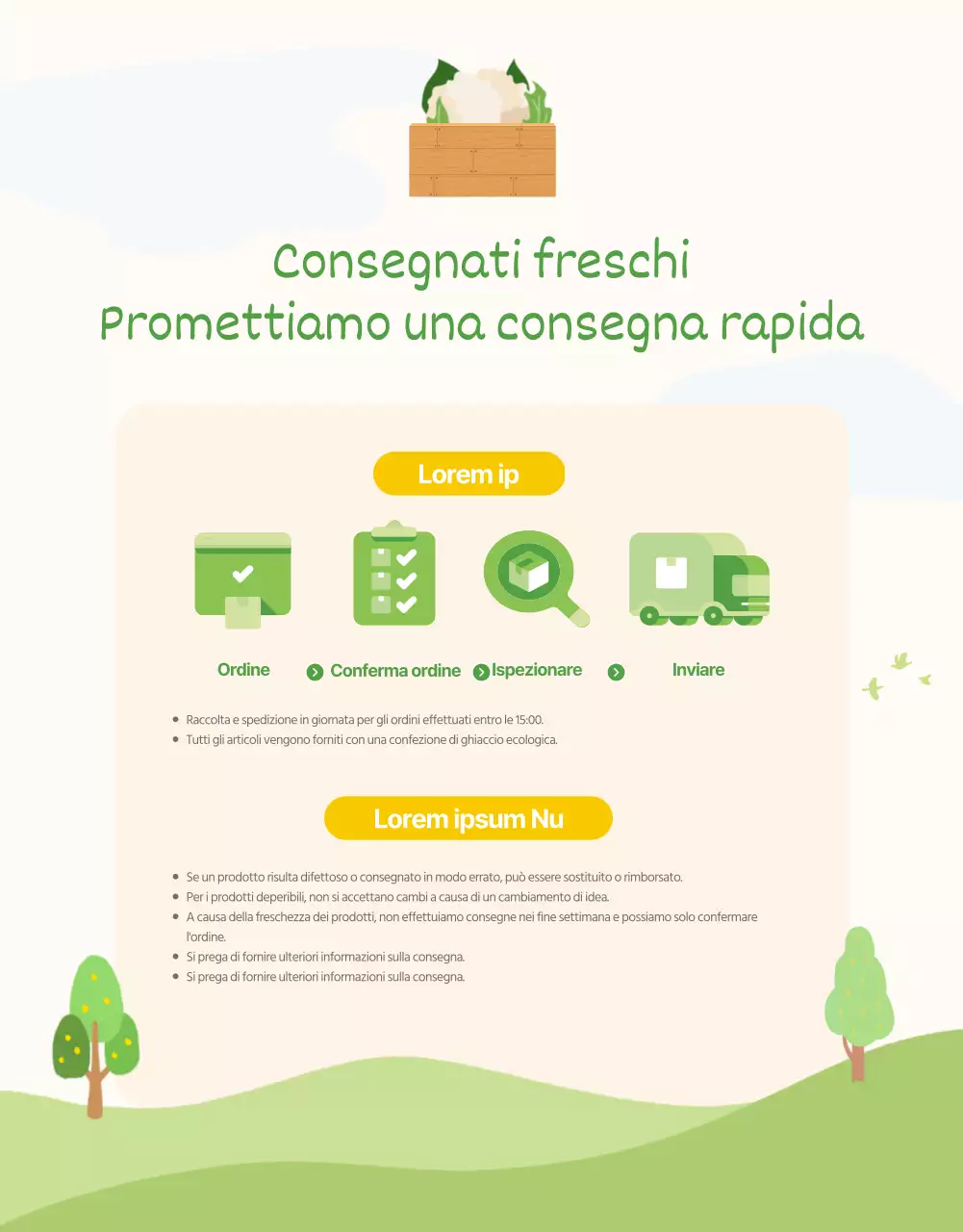 Promuovere la descrizione del cavolfiore verde e giallo naturale